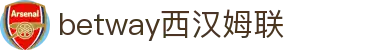 中国·必威(bw·西汉姆联)官方网站-West Ham United